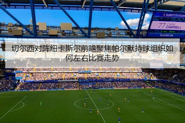 切尔西对阵纽卡斯尔前瞻聚焦帕尔默持球组织如何左右比赛走势